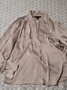 Banana Republic Pleated Satin V-Neck Blouse in Champagne Beige